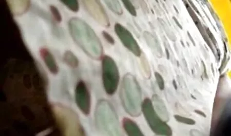 L'étudiante film porno streaming a montré son beau corps nu.