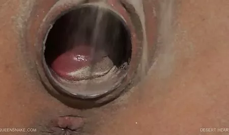Maître recherche actrice porno d'anatomie (avec traduction))