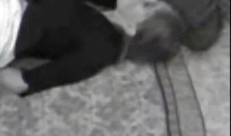 Après le chapeau, le pénis est monté dans le voir porno x cul.